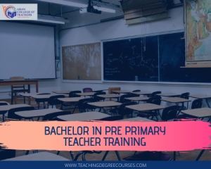 Bachelor in pre primary teacher training